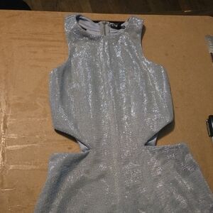 Express Silver Metallic Dress